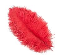 VEXALIFORM Plume Autruche 10 Plumes d'autruche colorées de 15 à 40 cm. | For l'artisanat décoration de mariage bricolage vacances carnaval mariage accessoires en vrac(Red,35-40CM)