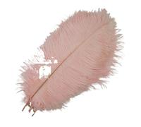 VEXALIFORM Plume Autruche 10 Plumes d'autruche colorées for l'artisanat | Décor de plumes bricolage décoration de mariage de carnaval de vacances(Light Pink,50-55cm 20-22inch)