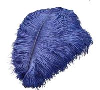 VEXALIFORM Plume Autruche 50 Plumes d'autruche Blanches de 35 à 60 cm. | Plumes for artisanat, Costumes de carnaval, décorations de fête, de mariage, de maison(Deep Blue,55-60cm 22-24inch)