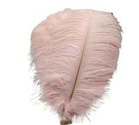 VEXALIFORM Plume Autruche 50 Plumes d'autruche Blanches de 35 à 60 cm. | Plumes for artisanat, Costumes de carnaval, décorations de fête, de mariage, de maison(Light pink,45-50cm1 8-20inch)