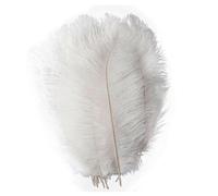 VEXALIFORM Plume Autruche 50 Plumes d'autruche Blanches de 35 à 60 cm. | Plumes for artisanat, Costumes de carnaval, décorations de fête, de mariage, de maison(White,35-40cm 14-16inch)