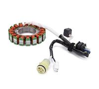 Vexilon Bobine de stator de générateur, for Supermarch Excalibur 700 700cc UTV Menards Yardsport YS700 Bennche Bighorn Cowboy Gray Wolf 500 700 Bobine d'allumage pour moto