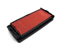 Vexilon Filtre à air for moteur de moto, élément filtrant d'admission d'air, for ZONTES ZT310R ZT310X ZT310T ZT250R ZT-310X/T/R Filtre à air pour moto