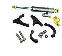 Vexilon Pièces de Planche à roulettes électrique Accessoires Scooter Wolf King GT, for KAABO, Warrior 11 Pouces Amortisseurs de Direction pour Scooters(Black Silver Gold10)