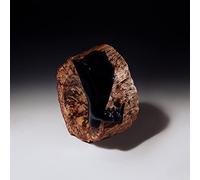 Veyl Maenad & the Sarcasm Ensemble - Comfort in Misery [Import]