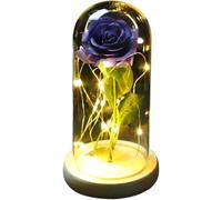 VFdthR Rose Eternelle Rose en Verre, Cadeau de Saint-Valentin Forever, Fleur éternelle enchantée Feuille d'or 24 carats avec Guirlande Lumineuse dans Un dôme for Le désherbage(019)