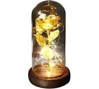 VFdthR Rose Eternelle Rose en Verre, Cadeau de Saint-Valentin Forever, Fleur éternelle enchantée Feuille d'or 24 carats avec Guirlande Lumineuse dans Un dôme for Le désherbage(005)