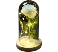 VFdthR Rose Eternelle Rose en Verre, Cadeau de Saint-Valentin Forever, Fleur éternelle enchantée Feuille d'or 24 carats avec Guirlande Lumineuse dans Un dôme for Le désherbage(A-4)