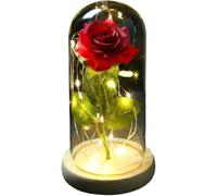 VFdthR Rose Eternelle Rose en Verre, Cadeau de Saint-Valentin Forever, Fleur éternelle enchantée Feuille d'or 24 carats avec Guirlande Lumineuse dans Un dôme for Le désherbage(017)