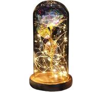 VFdthR Rose Eternelle Rose en Verre, Cadeau de Saint-Valentin Forever, Fleur éternelle enchantée Feuille d'or 24 carats avec Guirlande Lumineuse dans Un dôme for Le désherbage(007)