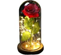 VFdthR Rose Eternelle Rose en Verre, Cadeau de Saint-Valentin Forever, Fleur éternelle enchantée Feuille d'or 24 carats avec Guirlande Lumineuse dans Un dôme for Le désherbage(001)