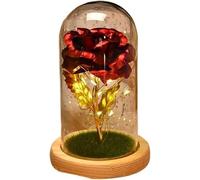VFdthR Rose Eternelle Rose en Verre, éternelle, Cadeau de Saint-Valentin for Petite Amie, lumière dans Un Couvercle, Cadeaux Mariage for mères, Demoiselle d'honneur(Rose Red)