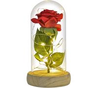 VFdthR Rose Eternelle Rose en Verre, éternelle, Cadeaux for Elle, dans Un dôme, Fleur Artificielle for Toujours, lumière légère for la fête des mères for Les Femmes(Red Flower 2)