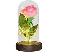 VFdthR Rose Eternelle Rose en Verre, éternelle, Cadeaux for Elle, dans Un dôme, Fleur Artificielle for Toujours, lumière légère for la fête des mères for Les Femmes(Pink Flower)