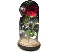 VFdthR Rose Eternelle Rose en Verre, Rose éternelle Artificielle, Fleur dans Un dôme, Cadeau de Noël, d'anniversaire, Saint-Valentin(017)