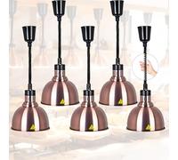 VFDZ Lampe Chauffante Cuisine Professionnelle, Suspendu Lampe Chauffe Plat pour Cuisine Restaurant Buffet, 19/25cm Lampe Chauffante Alimentaire Réglable Commerciale(B-25cm, 5 Pièces)