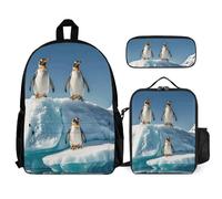 VFKLT Penguins On The Iceberg Sac à dos avec boîte à déjeuner et trousse à crayons Ensemble de 3 pièces Sac de voyage décontracté pour ordinateur portable, blanc, taille unique, sacs à dos de voyage,
