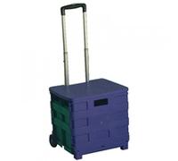 VFM 379531 Chariot Pliant récipient avec Couvercle Bleu, Vert