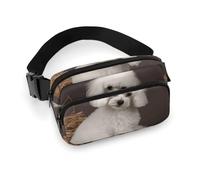 VFMKT Sac banane pour homme et femme - Sac banane réglable pour voyage, sport, randonnée - 20 x 13 cm - Style - 20 x 13 cm, Style :, 20x13cm