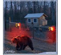 VGEBY Alarme Solaire avec Capteur de Mouvement PIR et Sirène Alarme Anti-vol avec Lumière pour Extérieur IP65 Rouge 1 pièces