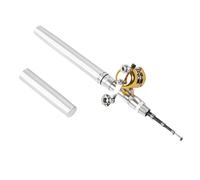 VGEBY Canne à Pêche Stylo Miniature en Fibre de Verre et Aluminium, Format de Poche, 95 Cm, Extensible 21 Cm, Pliable avec Moulinet, pour Voyage, Camping, Débutants (Silver)
