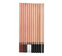 VGEBY Ensemble de Crayons Skizer-buts, Matériau en Bois Naturel Non Toxique, Sensation de Couleur Lisse, Exigence D'art à 12 Propres pour les Artistes et les Amateurs de Peinture