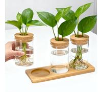 VGECEE 3PCS Stations de Propagation de Plante Vases Hydroponique Vase en Verre Hydroponiques Vases Hydroponiques avec Socle et Couvercle en Bois, Pot de Fleurs en Verre pour Plante, Vase Hydroponique