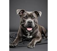 VGJM Diamond Painting Black Staffordshire Bull Terrier 5D Diamond Art DIY Set Full Round Diamond Crystal Play-by-Number Embroidery Crafts for Living Room Home Wall Decoration 30x40 cm