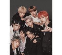 VGJM DIY 5D Diamond Painting Kits for Adults Kids,Stray Kids,Full Drill Diamond Embroidery Kits Cross Stitch Pictures Arts Craft Home Wall Decoration-50x50cm