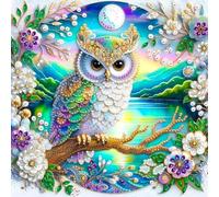 VGJM Owl 5D Special Shape Diamond Painting Kits for Adults and Beginners, Crystal Rhinestone Special Shaped Diamond Art Painting Kits for Home Wall Decor Gift 50x60cm