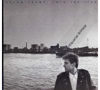 vgl Beschreibung - Bryan Adams - Into The Fire Vinyl LP A&M 1987
