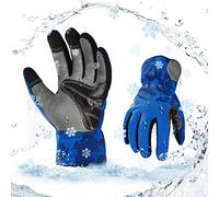 Vgo... Gants de travail d'hiver en cuir de vache, imperméables, 0°C / 32°f, pour chambre froide ou réfrigérée avec doublure isolante mince 3M (CA9790FLWP,Bleu,XL,1Paire)