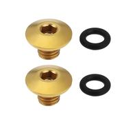 VGOL 2X Vis de Purge de Vélo Joint Torique Corps Fendu Bouchon D'huile Boulons en Alliage de Titane TC4 M5 X 10 Mm Compatibles avec Shimano XT SLX Zee Deore LX