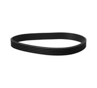 VGOL Courroie de Tapis de Course 336EPJ 5 Nervures Largeur 11,7 Mm Compatible avec VEGA Les Tapis de Course