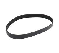 VGOL Courroie trapézoïdale pour tapis roulant 8PJ556 PJ556 255589 compatible avec VEGA compatible avec ProForm Crosswalk 397 556 x 18,72 x 3,4 mm