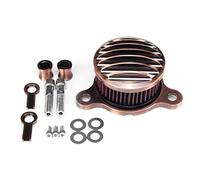 VGVCTX Nouveaux Accessoires de système de Filtre d'admission de Filtre à Air de Moto for Harley-Davidson Sportster 883 1200 1991-2016 Fer 883 2009-2016 (Color : Bronze)