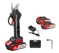 VGVSBG Sécateur sans Fil pour Le Jardinage, Coupe de Branches de Fruits, sécateur électrique sans Fil SK5, diamètre de Coupe de 25 mm, 2 Batteries Rechargeables 21 V 7