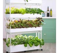 VGVSBG Système de Culture hydroponique pour Jardin intérieur, Ensemble de Tours hydroponiques à 3/4 Niveaux, jardinière hydroponique, Culture hydroponique Verticale p