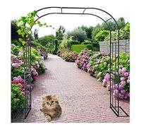 VGVSBG Tonnelle de pergola en métal, Jardin 120x240cm 180x240cm, Voie Rose pour diverses Plantes grimpantes, tonnelle de Jardin de Mariage, décoration de fête Nuptiale