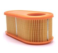 vhbw 1x filtre remplacement pour Briggs & Stratton 005419