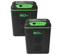 vhbw 2x Batterie compatible avec Remarc Nimbus 82V, 82C2, KM Domus 82V (2000mAh, 80V, Li-ion)