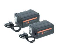 vhbw 2x Batterie compatible avec Yongnuo YN-308 5500K, YN-308 3200K-5500K, YN-300LEDIII CRI 95+ 5500K appareil photo (4000mAh, 7,4V, Li-ion)