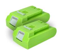 vhbw 2x Batterie remplacement pour Greenworks 29807, 29322, G24B2, 29852, 29842, 29837 pour outil électrique (2000 mAh, Li-ion, 24 V)