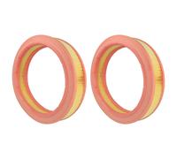 vhbw 2x Cartouche filtrante compatible avec Kränzle Ventos 20 E/L, 30 E/L aspirateur sans fil - Filtre pour particules fines