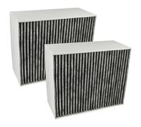 vhbw 2x Filtres à charbon actif compatible avec Bosch DII31RV60/02, DWI37JM60/02, DWI37RV60/02, DII31JM60/02 hotte aspirante - 22,7 x 18,9 x 10 cm