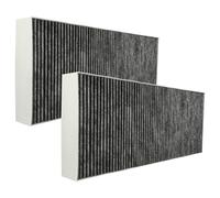 vhbw 2x Filtres à charbon actif remplacement pour 11010506, 11018621, 11034172, DSZ4681 pour hotte aspirante - 46 x 19,1 x 5 cm