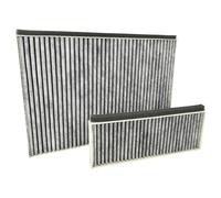 vhbw 2x filtres compatible avec Bosch DWK87CM60/01, DWK87CM, DWK87BM60B/01, DWK87BM60/01 hotte aspirante - 2x filtre à charbon actif blanc/gris