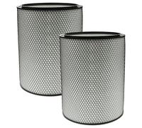 vhbw 2x Filtres HEPA 13 compatible avec Dyson Purifier Big+Quiet Formaldehyde BP03 purificateur d'air - Filtre de rechange