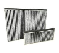 vhbw 2x filtres remplacement pour Siemens 8720094252209, 11018700, 11021284, 17000965 pour hotte aspirante - 2x filtre à charbon actif blanc / gris