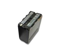 vhbw Batterie compatible avec Grundig LC-380HE, LC-835E, LC-280, LC-935E, LC-855HE, LC-875HE caméra vidéo caméscope (10400mAh, 7,4V, Li-ion)